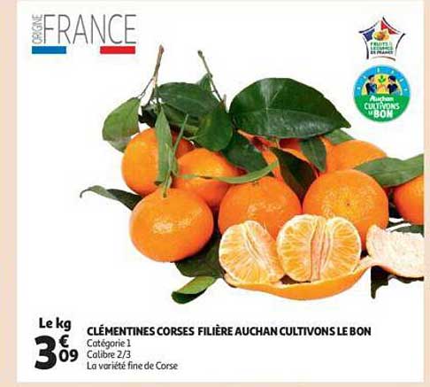 clémentines corses filière auchan cultivons le bon