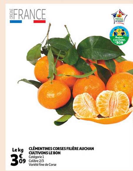 clémentines corses filière auchan cultivons le bon
