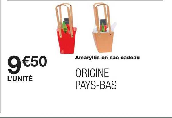 amaryllis en sac cadeau