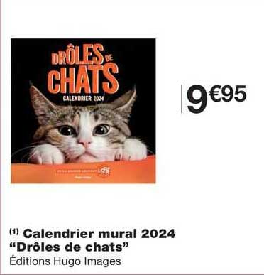 calendrier mural 2024 "drôles de chats"