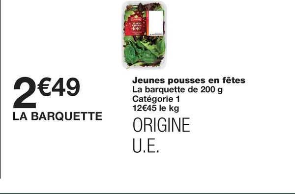 jeunes pousses en fêtes