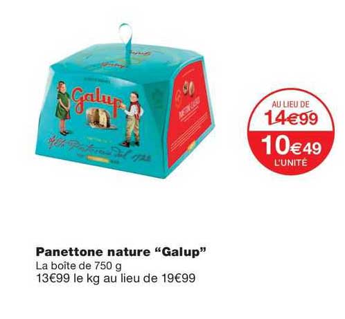 Panettone Nature "galup"