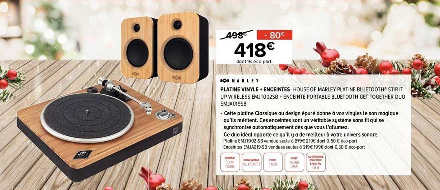 platine vinyle + enceintes marley