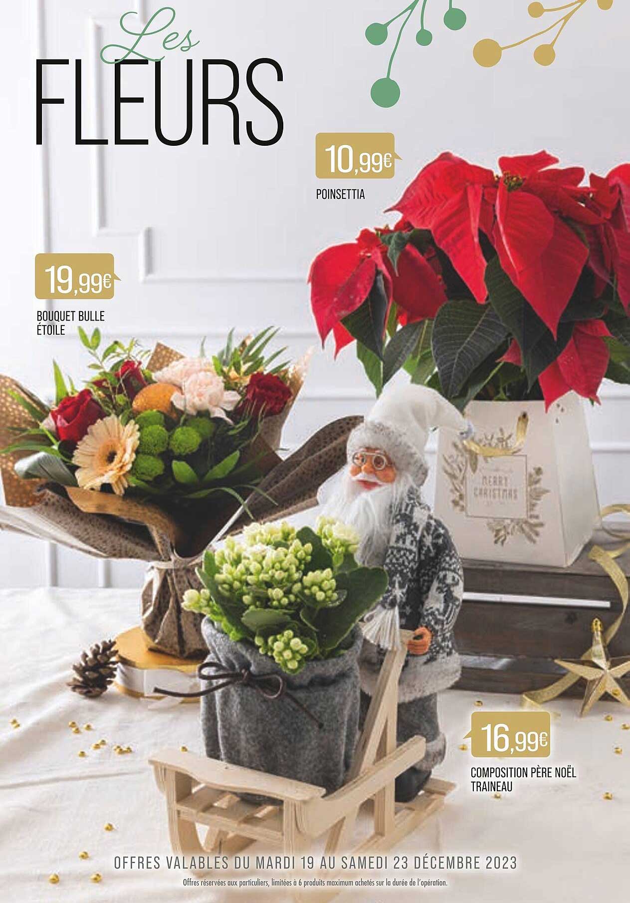 poinsettia, bouquet bulle, composition père noël traîneau