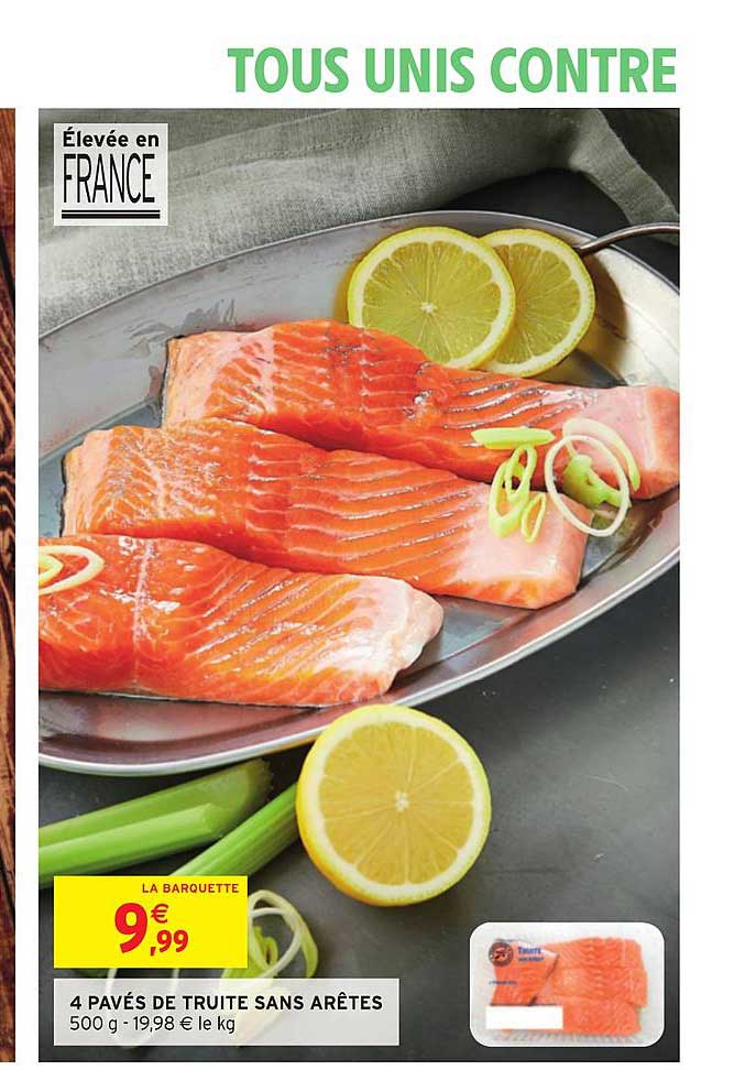 4 pavés de truite sans arêtes