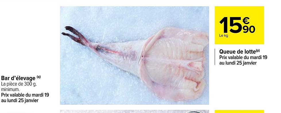 bar d'élevage queue de lotte