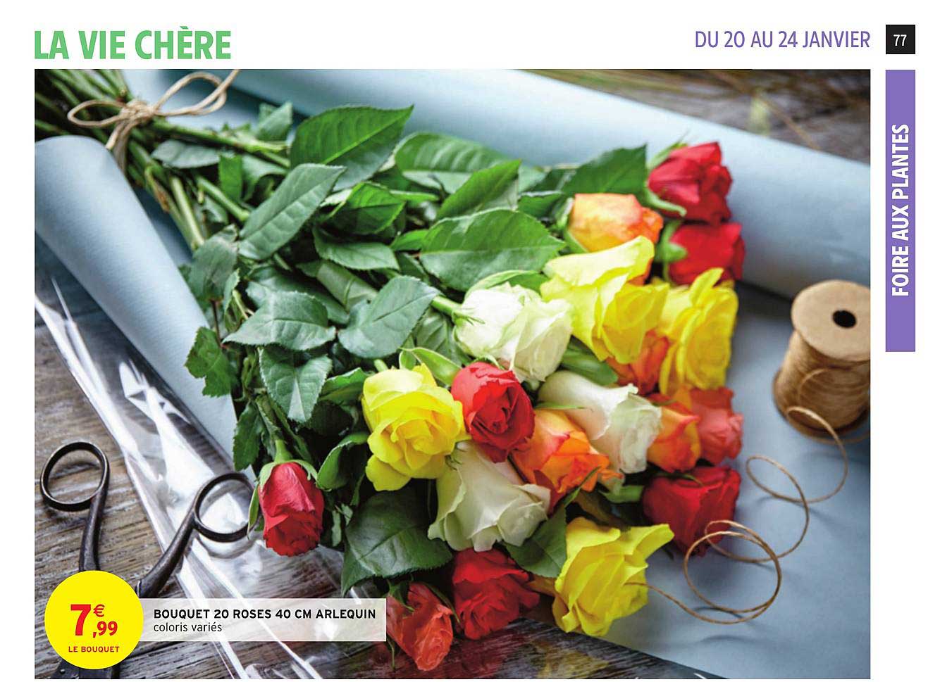 Bouquet 20 Roses 40 Cm Arlequin