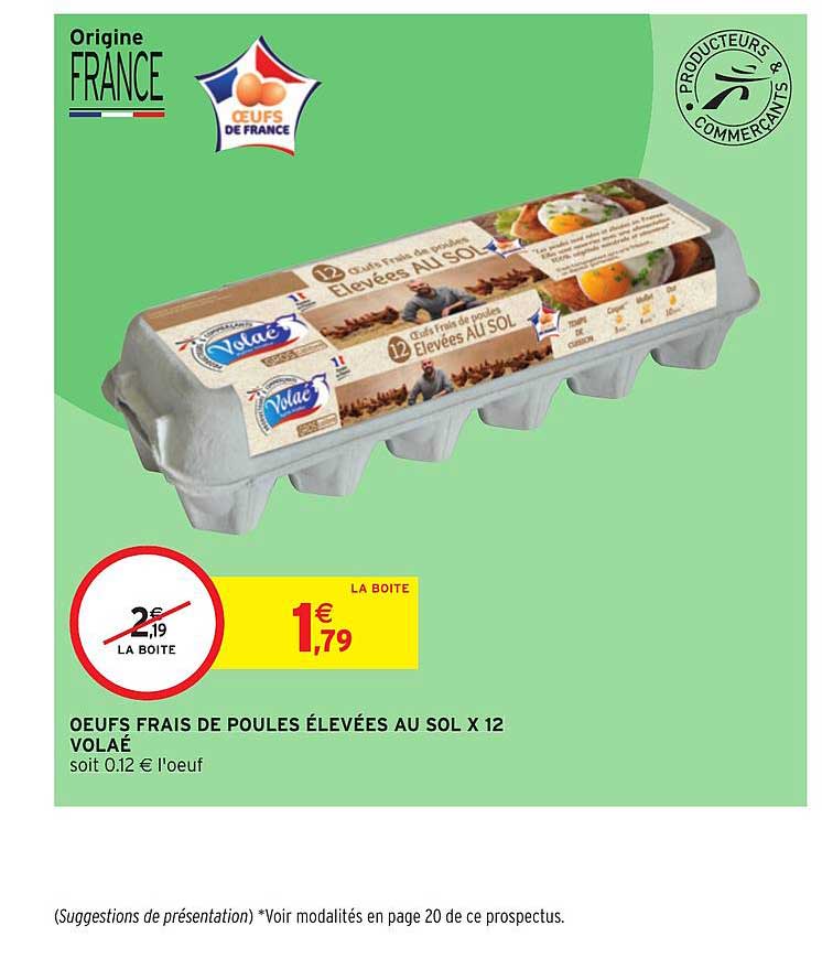 oeufs frais de poules élevées au sol volaé