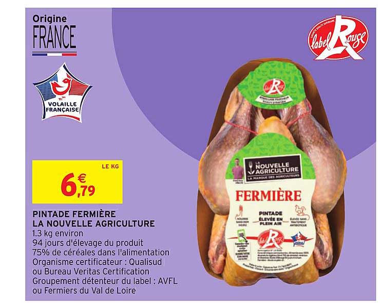 Pintade Fermière La Nouvelle Agriculture