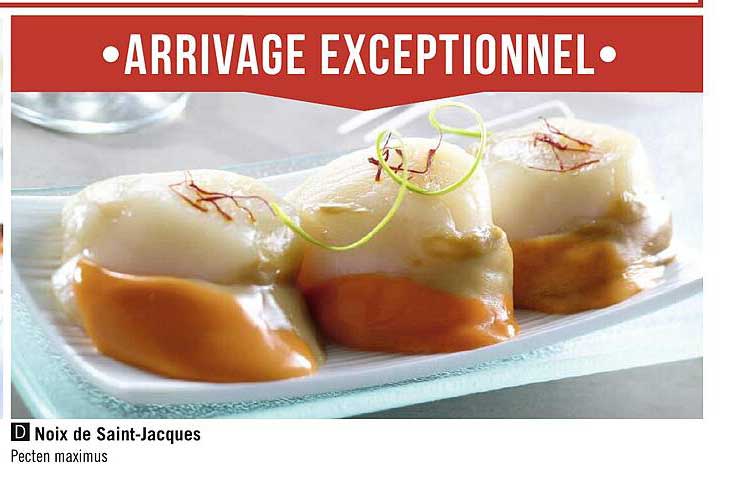noix de saint-jacques