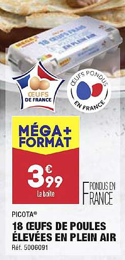 18 œufs de poules élevées en plein air picota