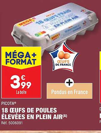 18 œufs de poules élevées en plein air picota