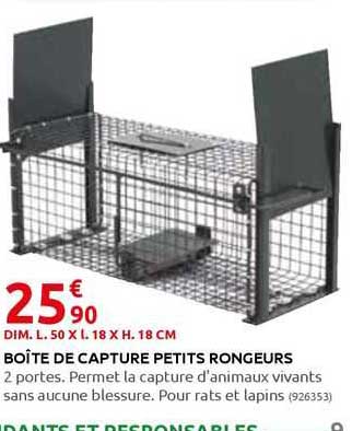 boîte de capture petits rongeurs