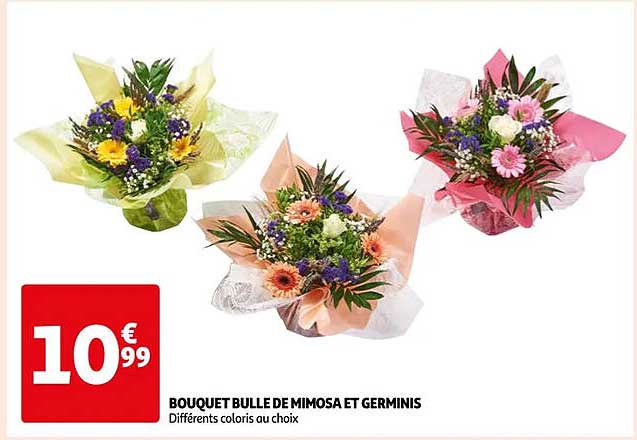 Bouquet Buille De Mimosa Et Germins
