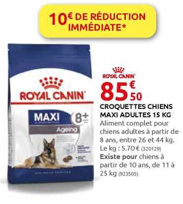 croquettes chiens maxi adultes 15 kg royal canin