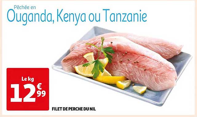 filet de perche du nil
