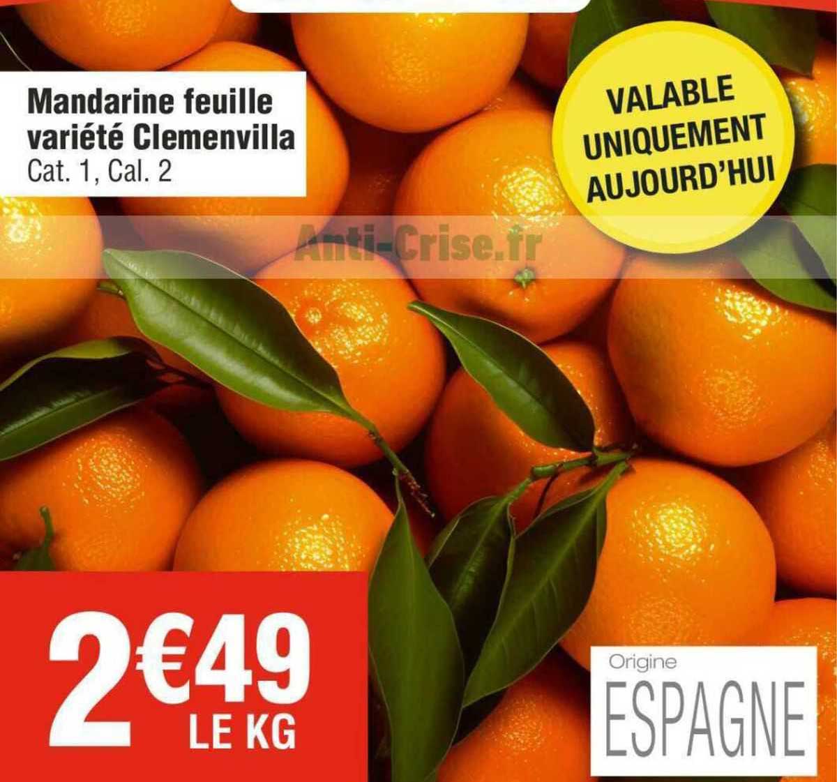 mandarine feuille variété clemenvilla