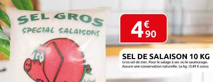sel de salaison 10 kg
