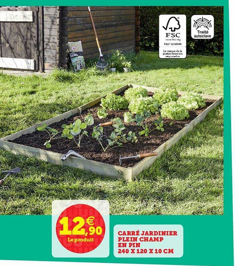 carré jardinier plein champ en pin