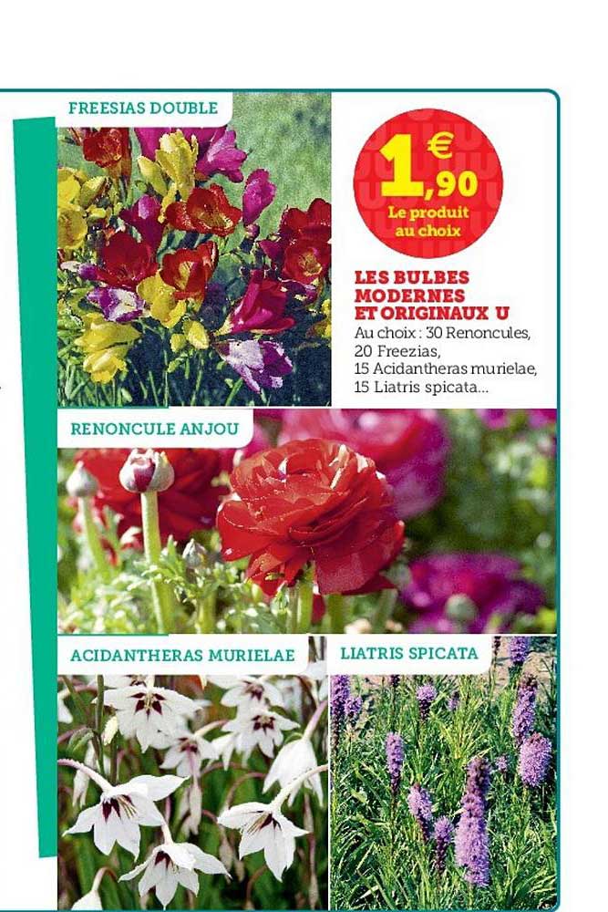 Les Bulbes Modernes Et Originaux U