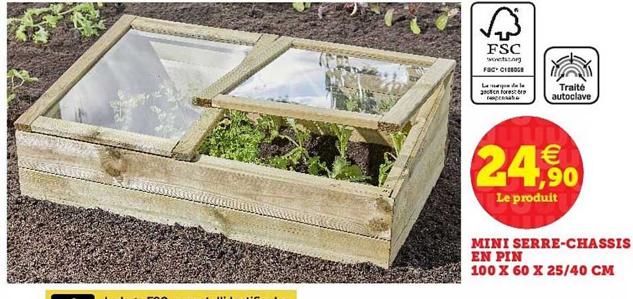 Mini Serre Chassis En Pin