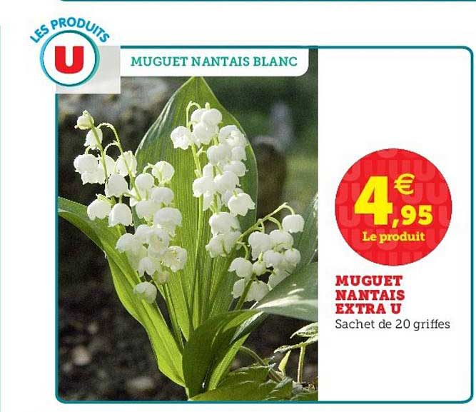 muguet nantais extra u