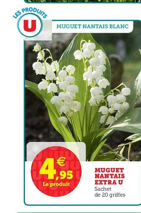 muguet nantais extra u