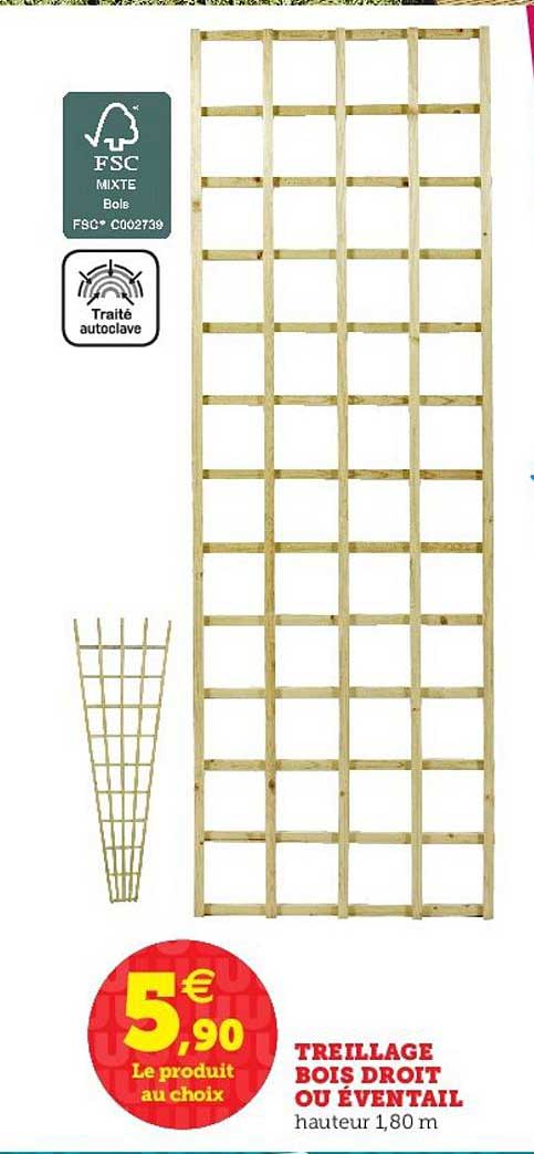 treillage bois droit ou éventail