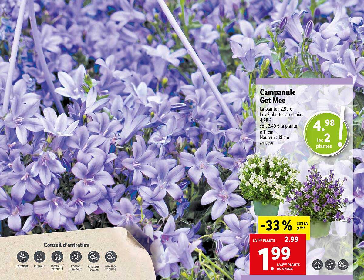 campanule get mee
