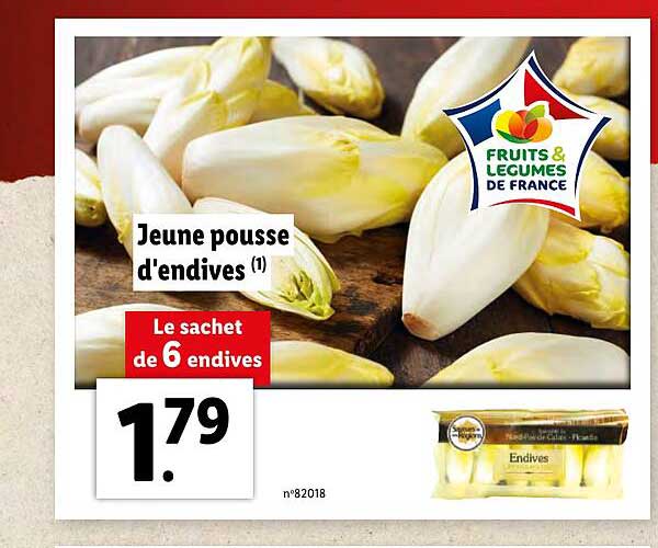 jeune pousse d'endives