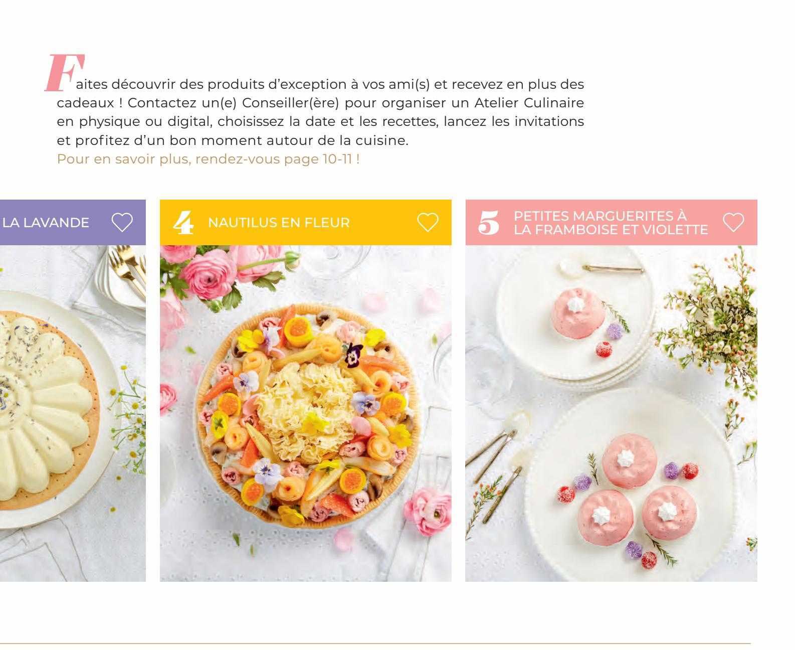 la lavande, nautilus en fleur, petites marguerites à la framboise et violette