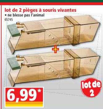 lot de 2 pièges à souris vivantes