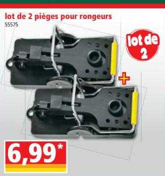 lot de 2 pièges pour rongeurs