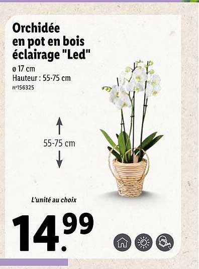 Orchidée En Pot En Bois éclairage "led"