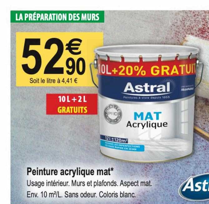 peinture acrylique mat astral