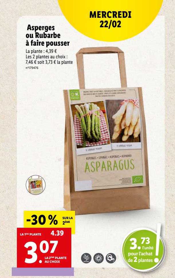 asperges ou rubarbe à faire pousser