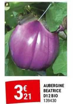 aubergine beatrice d12 bio