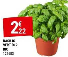 Basilic Vert D12 Bio