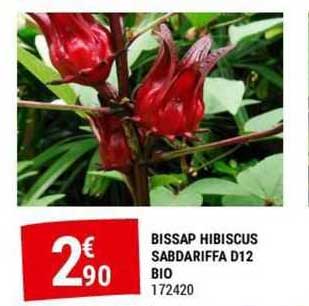 bissap hibiscus sabdariffa d12 bio