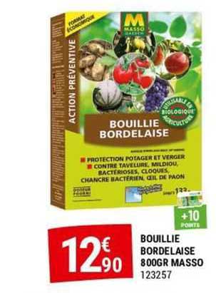 bouillie bordelaise 800gr masso