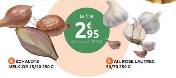 échalote melkior 15/40 250 g, ail rose lautrec 50/70 250 g