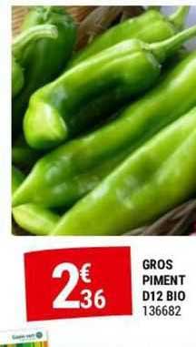 gros piment d12 bio