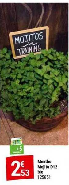 menthe mojito d12 bio