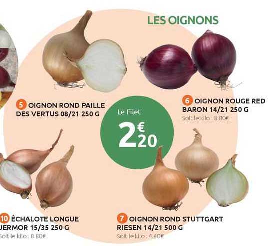 oignon rond paille des vertus 08/21 250 g, oignon rouge red baron 14/21 250 g, oignon rond stuttgart riesen 14/21 500 g, échalote longue uermor 15/35 250 g