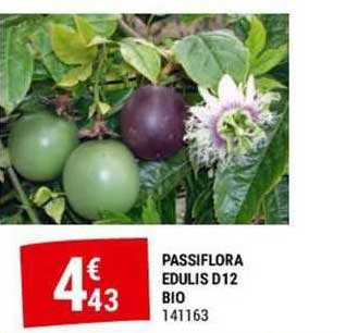 passiflora edulis d12 bio