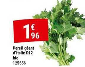 persil géant d'italie d12 bio