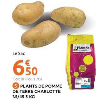 plants de pomme de terre charlotte 35/45 5 kg