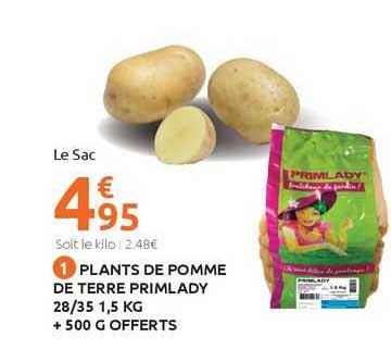 plants de pomme de terre primlady 28/35 1,5 kg + 500 g offerts