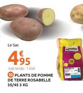 plants de pomme de terre rosabelle 35/45 3 kg