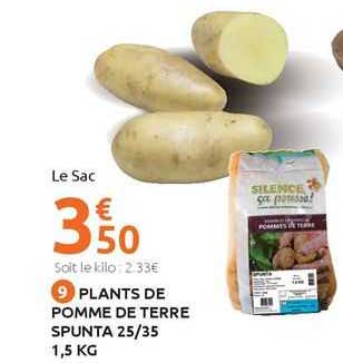 plants de pomme de terre spunta 25/35 1,5 kg